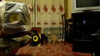KRK Rokit 6
