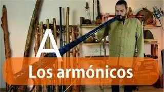 4 - Los armónicos del Didgeridoo