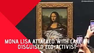 MONA LISA attacked with cake by disguised eco-activist