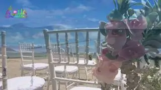 Waialae beach park wedding teaser with harp