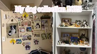 My Dog and Wolf Collection 2025 pt 1
