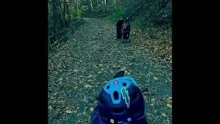 Esk8 head on with a pitbull, who wins? 