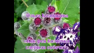 История 7. Как фея Колючка слепила собачку