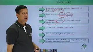 Class10th &ndash; Binary Fission | Reproduction in Organisms | Tutorials Point