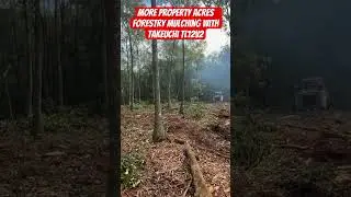 Super wet property gets cleared by a forestry mulcher #satisfying #beblessed #hustle