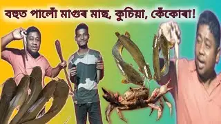 ইমান মাগুৰ মাছ লগতে কুচিয়া, কেঁকোৰা আৰু বহুত মাছ@jyotishferiwala