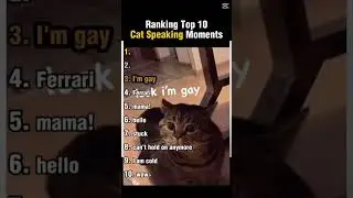 Ranking funniest talking cat moments😂#funny#cats#meme