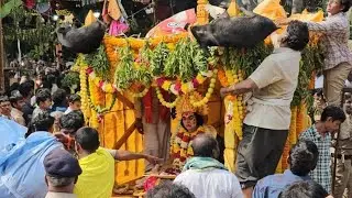 ఏలూరు తూర్పు వీధి మా ఊరి జాతర ఆచారం కొర్ల బండికి పందులు కట్టడం