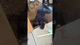Sad Update (Dec 19th, 2025) Bella, The Christmas Cat Rescued from the Drainage Pipe, has Passed Away