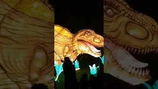Dinolights Planckendael 2021 #youtubeshorts #youtubeshortsvideo #shorts #belgique #belgium #dino