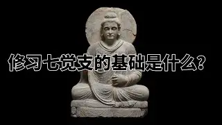 第七百二十九章 修习七觉支的基础是什么？完全读懂巴利文大藏经（729）