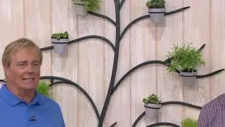 Martha Stewart 71