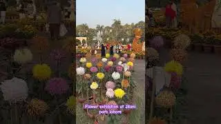 Flower exhibition at Jilani park Lahore#park#lahore