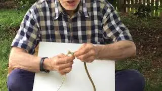 Frapping the End of Your Line and How To Repair It