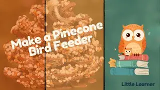 Make a Pinecone Bird Feeder | Fun Outdoor Activity for Kids!