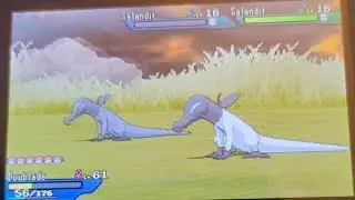 Catching shiny MALE Salandit in Pokemon Ultra Moon