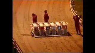 Greyhound racing, Eastville Stadium, Oct 1997