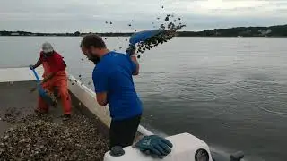EXPLORING  an Oyster Farm | WILL IT GROW | #oysters #farming
