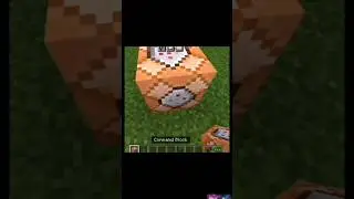 How to Teleport with command block