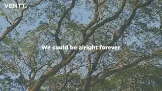 VENTT. - The Orchard Tree (Voice Memo)