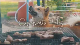 Korean Countryside | Cinematic Vlog Shot on Sony FX30