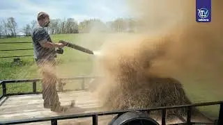 Starlyf Power Blower Commercial