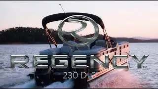 REGENCY 230 DL3 Pontoon Boat