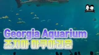 ENG) Georgia Aquarium All you need to know before going!!  조지아 아쿠아리움 어디까지 놀아봤니? 입장료 파킹 돌고래쇼!!