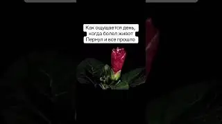 #meme #top #мем #video #мемы #видео