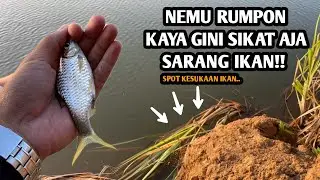 NEMU TITIK SPOT MARKAS IKAN PUTIHAN!! Mancing wader putihan di sungai Bogowonto umpan rasbora