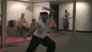 Lanjie taiji tanglang quan