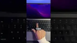 Tiker M&aacute;s de 65+ Proyectos Completos M&aacute;s de 1200+ Samples Curso c&oacute;mo Crear Melod&iacute;as mismo lugar ETC