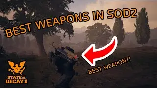 Best Guns in State of Decay 2 Ranked (Top 10)