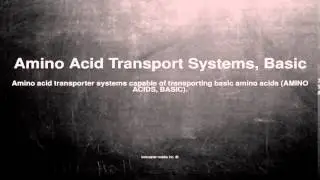 Medical vocabulary: What does Amino Acid Transport Systems, Basic mean