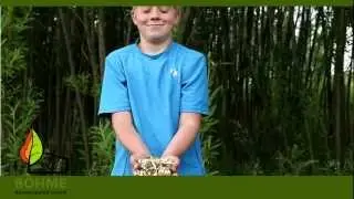 Bioenergiehof B&ouml;hme