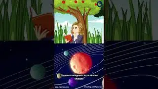 The Fundamental Forces in Nature