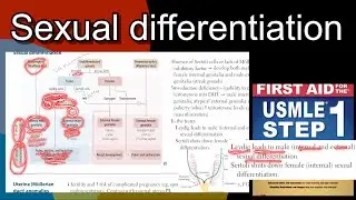Sexual differentiation | role of SRY gene in Hindi/Urdu by first aid for USMLE step 1