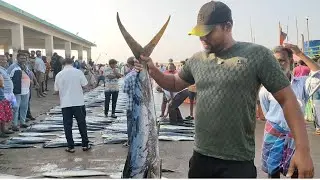 தேங்காபட்டணம் மீன்களின் விலை நிலவரம்16.01.2026 watch till end #Thengapattanam fishing harbour #fish 