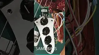 Bass Preamps: Fender VS. Sadowsky #shorts