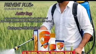 Prevent Plus Spray for Wheat | Best Weed Control Solution | Ali Akbar Group | My Farmer My Life