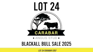 Lot 24 Carabar U357