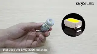 CN360 7KG26 Canbus Led Bulb