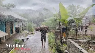 CRAZY RAIN! THE ATMOSPHERE OF VILLAGE LIFE IN ASIA