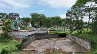 Mini 4 pro clementi forest