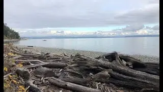 Nature Walk, Barnum Point Preserve, Camano Island, Washington: beach views and Bald Eagles