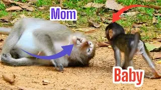Mom Vs Baby  Fighting
