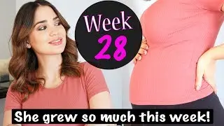 BUMP Update | Week 28 Pregnancy Symptoms Third Trimester + Bump Shot