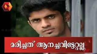 Youth's Death In Thattekad Not Due To Elephant Stamping: Postmortem Report