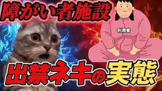 【障がい者施設のリアル】出禁ネキの実態(前編)　#猫ミーム #仕事