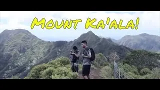 Mount Ka'ala The Highest Mountain on Oahu